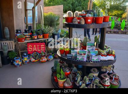 USA, PHENIX, ARIZONA- 17 NOVEMBRE 2019: Un magasin vendant différents types de cactus et de plantes dans le jardin botanique de Phoenix, Arizona Banque D'Images