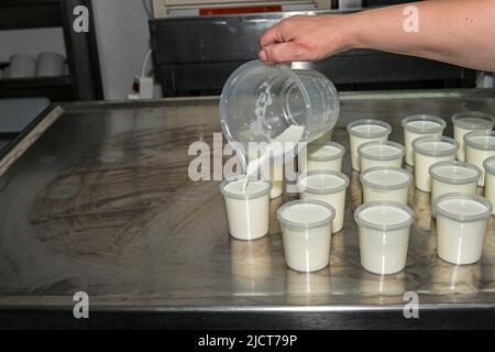 Élaboration de yaourt naturel avec du lait de chèvre Banque D'Images