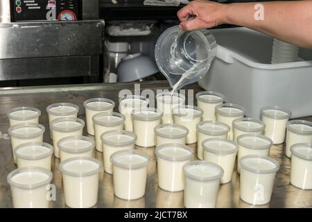 Élaboration de yaourt naturel avec du lait de chèvre Banque D'Images