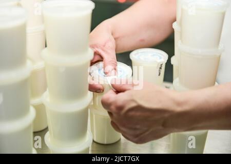 Élaboration de yaourt naturel avec du lait de chèvre Banque D'Images