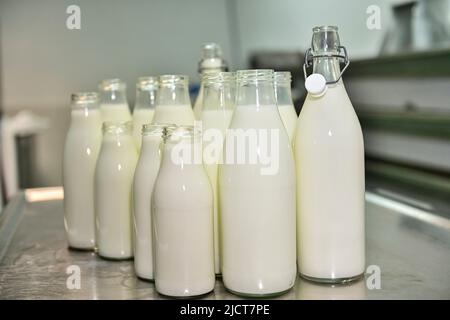 Bouteilles en verre, remplies de lait de chèvre frais Banque D'Images