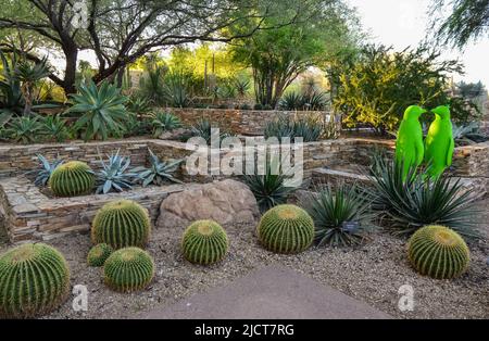 Etats-Unis, PHENIX, ARIZONA- 17 NOVEMBRE 2019: Figurines d'animaux en plastique multicolores parmi les cactus de différentes espèces dans le jardin botanique du Phoenix, Banque D'Images