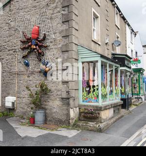 Une entrée précoce pour le festival de Flowerpot de cette année (2022). Une araignée sur une toile approchant des insectes y compris une belle 'nouvelle' mouche en bas à droite. Banque D'Images