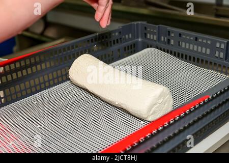 Couper les portions d'un rond de fromage de chèvre Banque D'Images