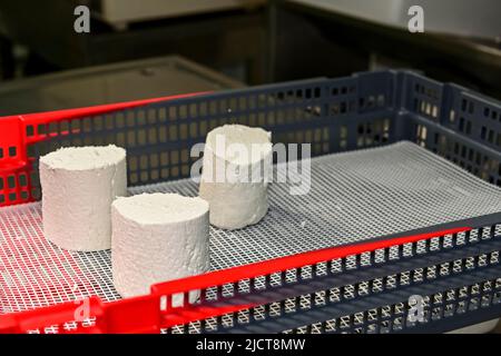 Portions d'une ronde de fromage de chèvre Banque D'Images