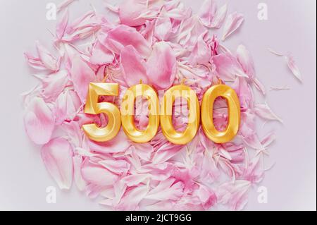 carte de 5000 abonnés. Modèle pour réseaux sociaux, blogs. Fond avec pétales de fleurs roses. Bannière de célébration des médias sociaux. 5k fans de la communauté en ligne. Cinq mille abonnés Banque D'Images