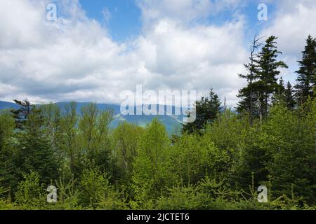 Vue de l'atterrissage pour hélicoptère sur le sommet du Mont Rose (Nord) dans les Montagnes Blanches du New Hampshire. Quand le répéteur radio sur ce Banque D'Images