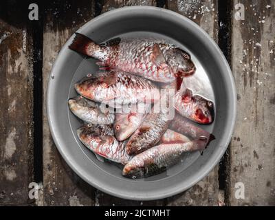 poissons de mer sur glace dans le bol sur le marché Banque D'Images