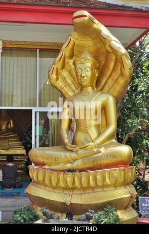 Statue des divinités semi-divines Naga - protéger le temple bouddhiste. Banque D'Images