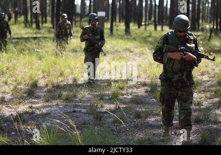 Des joueurs civils agissant comme soldats de l'Armée nationale de l'Afghanistan patrouillent avec les Marines des États-Unis avec la Compagnie Charlie, 1st Bataillon, 8th Marine Regiment ( Banque D'Images