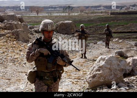 Marines des États-Unis avec 1st Bataillon, 8th Marine Regiment (1/8), équipe de combat régimentaire 6, patrouillent dans un champ afghan à Kajaki, province de Helmond, AF Banque D'Images