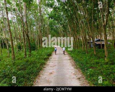 Un couple d'hommes et de femmes à vélo dans la jungle de Koh Yao Yai en Thaïlande, des hommes et des femmes qui font du vélo le long d'une plantation de caoutchouc en Thaïlande. Banque D'Images