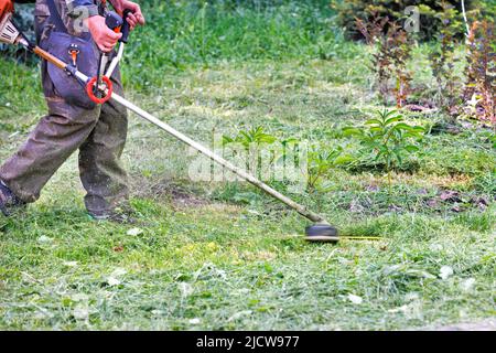 Un employé du secteur public tond une pelouse verte surcultivée avec un coupe-herbe à essence. Copier l'espace. Banque D'Images