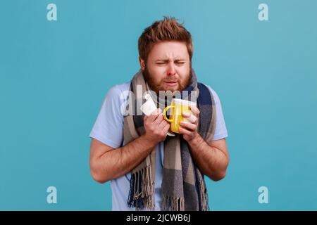 Portrait d'un homme barbu malade enveloppé d'une écharpe tenant une serviette en papier et une tasse de thé, se sentant agacé de la grippe virale, pleurant, étant contrarié. Studio d'intérieur isolé sur fond bleu. Banque D'Images