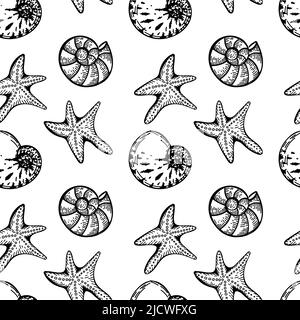 Créatures marines dessinées à la main sans couture, dans un style d'esquisse. Coquillages, étoiles de mer et bulles. Palette noir et blanc. Arrière-plan blanc. Isolé. Été. Ocea Illustration de Vecteur