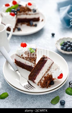 Gâteau au chocolat, cheesecake blanc décoré de bleuets, de cerises, de chocolat brun et de crème fouettée Banque D'Images