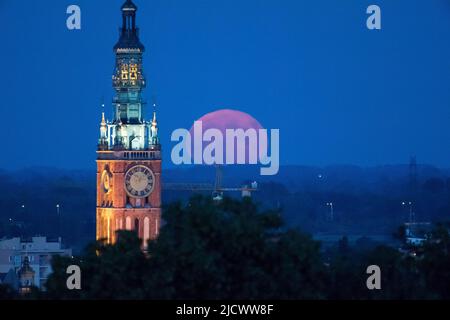 Lune de fraises en Pologne. 14 juin 2022 © Wojciech Strozyk / photo d'Alay Banque D'Images