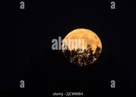 Lune de fraises en Pologne. 14 juin 2022 © Wojciech Strozyk / photo d'Alay Banque D'Images