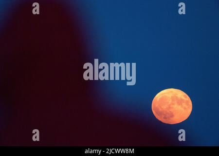 Lune de fraises en Pologne. 14 juin 2022 © Wojciech Strozyk / photo d'Alay Banque D'Images