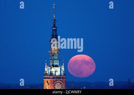 Lune de fraises en Pologne. 14 juin 2022 © Wojciech Strozyk / photo d'Alay Banque D'Images