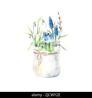 Fleurs printanières dans un pot-cadeau isolé sur fond blanc. Snowdrop, muscari, pansy, branche de saule. Illustration botanique aquarelle dessinée à la main. Banque D'Images