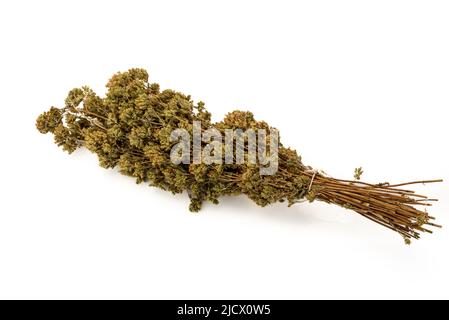 Bouquet d'origan séché isolé sur blanc, typique des herbes aromatiques de la cuisine du sud de l'Italie et pour la pizza Banque D'Images