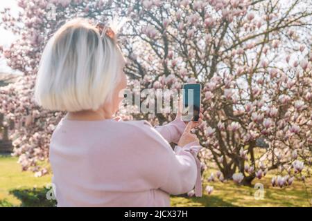 Beauté photographe caucasien femme prendre photo sakura ou fleur de cerisier par le smartphone avec fond de fleur de foyer doux. Saison de printemps avec plein Banque D'Images