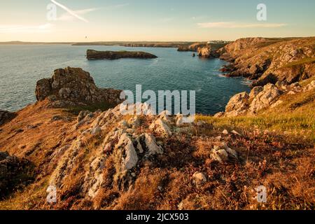 Heure d'or aux falaises de Predannack près de Million sur la péninsule de Lizard dans l'ouest des Cornouailles Banque D'Images