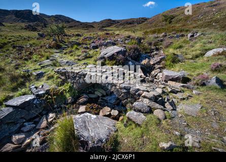 Les marches romaines en été au-dessus du MCG Bychan, montagnes Rhinogydd (Rhinog), Parc national de Snowdonia, pays de Galles du Nord, Royaume-Uni, Europe Banque D'Images