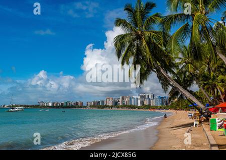 Plage bordée de palmiers, Maceio, Alagoas, Brésil, Amérique du Sud Banque D'Images