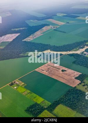 Antenne des champs géants de soja autour de Sinop, Mato Grosso, Brésil, Amérique du Sud Banque D'Images