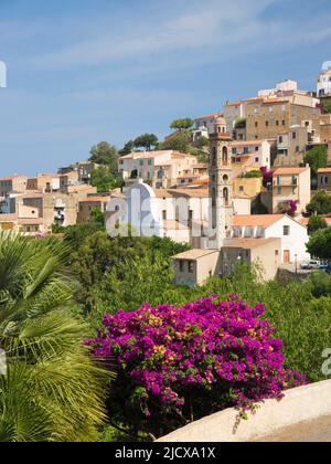 Maisons de village perchées à flanc de colline, l'église Sainte-Marie en vue, Lumio, Calvi Balagne, haute-Corse, Corse, France, Méditerranée, Europe Banque D'Images