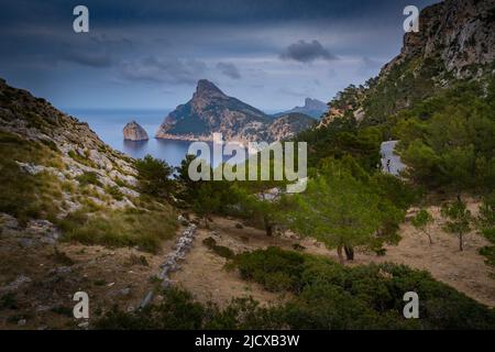Vue des cyclistes sur la route de Cap Formentor depuis le point de vue de Mirador es Colomer, Pollenca, Majorque, Iles Baléares, Espagne, Méditerranée, Europe Banque D'Images