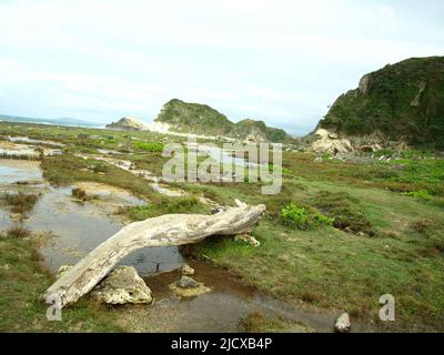 Merveille géologique formation naturelle de calcaire. La nature a sculpté sa propre art. Les calcaires de la surface blanche et les formes uniques sont étonnés d'être vus. Banque D'Images