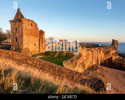 St. Andrews Castle at Sunrise, St. Andrews, Fife, Écosse, Royaume-Uni, Europe Banque D'Images