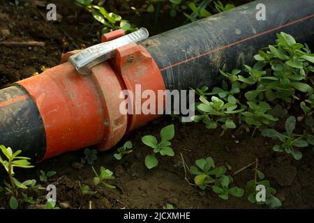 Raccords de tuyaux d'irrigation de jardin en gros plan Banque D'Images