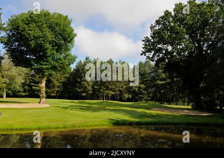 Vue sur Pond to 16th Green, Bentley Golf Club, Brentwood, Essex, Angleterre Banque D'Images