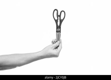 outils de travail pour la papeterie. main avec ciseaux de coiffeur isolés sur fond blanc. Banque D'Images