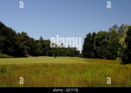 Vue de la zone de l'étang de Tee au 8th Green, Bentley Golf Club, Brentwood, Essex, Angleterre Banque D'Images