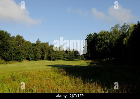 Vue de la zone de l'étang de Tee au 8th Green, Bentley Golf Club, Brentwood, Essex, Angleterre Banque D'Images