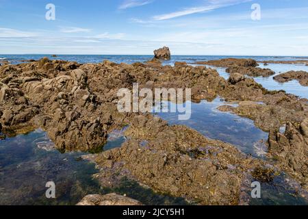 Vue panoramique sur la mer de Greencliff Beach, avec, les rochers exposés, les piscines de rochers et la vue sur la mer vers Lundy Island à Low Tide: Greencliff, près de Bideford Banque D'Images