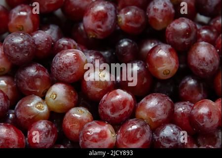 Bouquet de raisins rouges, sans vapeur Banque D'Images