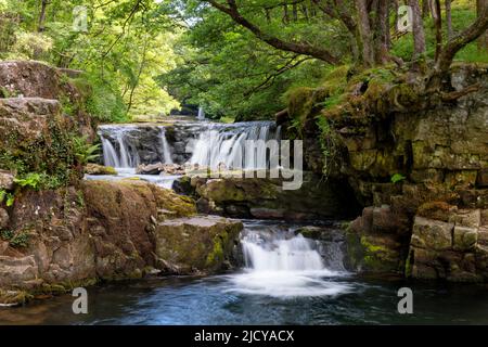 Vue sur la rivière Neath ou Afon Nedd Fechan dans le parc national de Brecon Beacons. L'image montre des cascades pittoresques qui regardent la rivière Banque D'Images