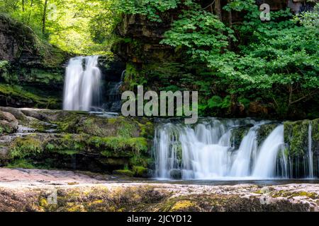 Vue sur la rivière Neath ou Afon Nedd Fechan dans le parc national de Brecon Beacons. L'image montre des cascades pittoresques qui regardent la rivière Banque D'Images