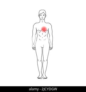 Douleur cardiaque marque rouge sur silhouette de contour noir du corps des hommes, modèle anatomique détaillé en vue de face isolé sur blanc Illustration de Vecteur