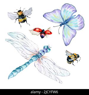 Jeu d'insectes de prairie aquarelle illustration sur blanc. Papillons, libellule, coccinelle, abeille, bourdon. Insecte coloré peint à la main. Conception pour c Banque D'Images