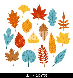 Motif vectoriel de feuilles d'automne Illustration de Vecteur