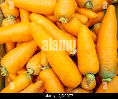 Carottes juteuses lavées. De belles carottes sur le comptoir du magasin. Arrière-plan des légumes-racines Banque D'Images