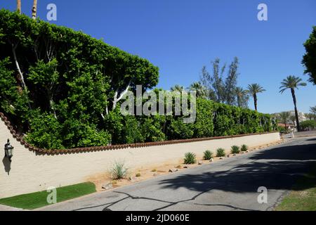 Palm Springs, Californie, États-Unis 11th juin 2022 Une vue générale de l'atmosphère du joueur de baseball Joe DiMaggio et de l'actrice Marilyn Monroe ancien domicile/domaine au 953 N. Avenida Palmas on 11 juin 2022 à Palm Springs, Californie, États-Unis. Photo par Barry King/Alay stock photo Banque D'Images