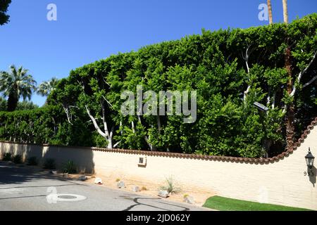 Palm Springs, Californie, États-Unis 11th juin 2022 Une vue générale de l'atmosphère du joueur de baseball Joe DiMaggio et de l'actrice Marilyn Monroe ancien domicile/domaine au 953 N. Avenida Palmas on 11 juin 2022 à Palm Springs, Californie, États-Unis. Photo par Barry King/Alay stock photo Banque D'Images